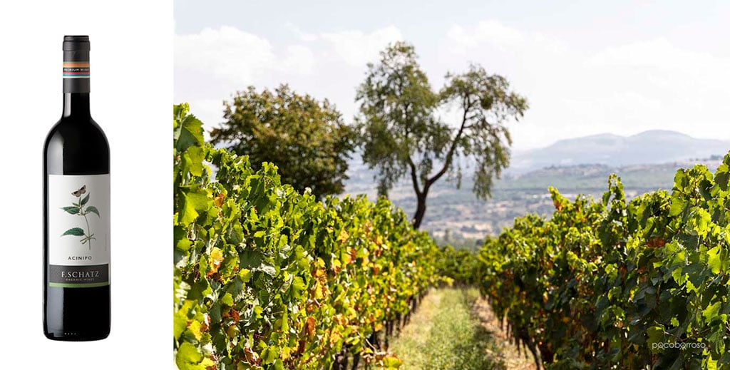 Vinos de Ronda