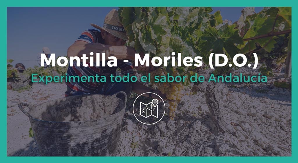 Excusión a Montilla Moriles