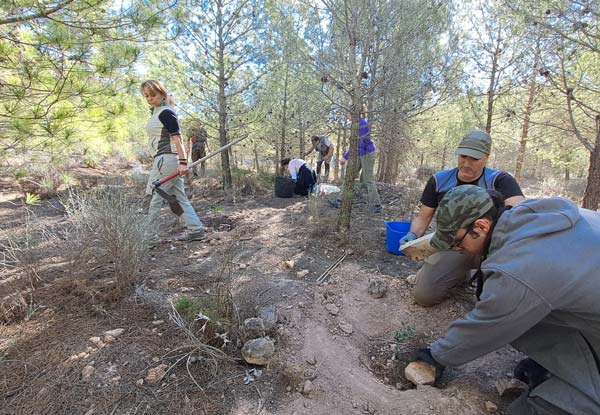 Reforestación en Almería, sierra de los FIlabres