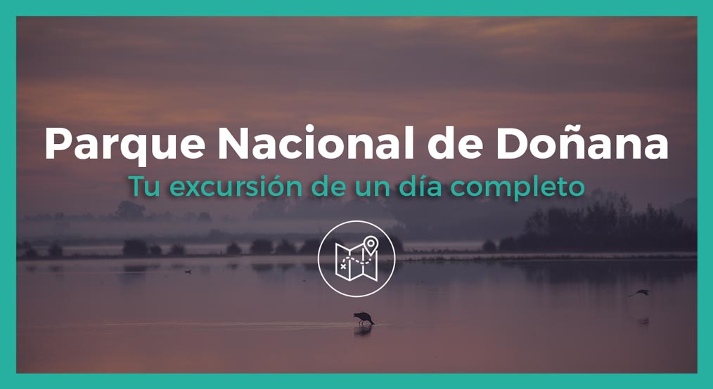 daytrip Doñana