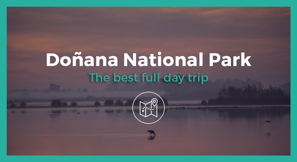 daytrip Doñana