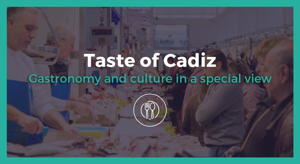 Private tour Cadiz