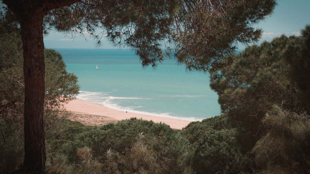 Ruta de los acantilados de Barbate desde Hierbabuena