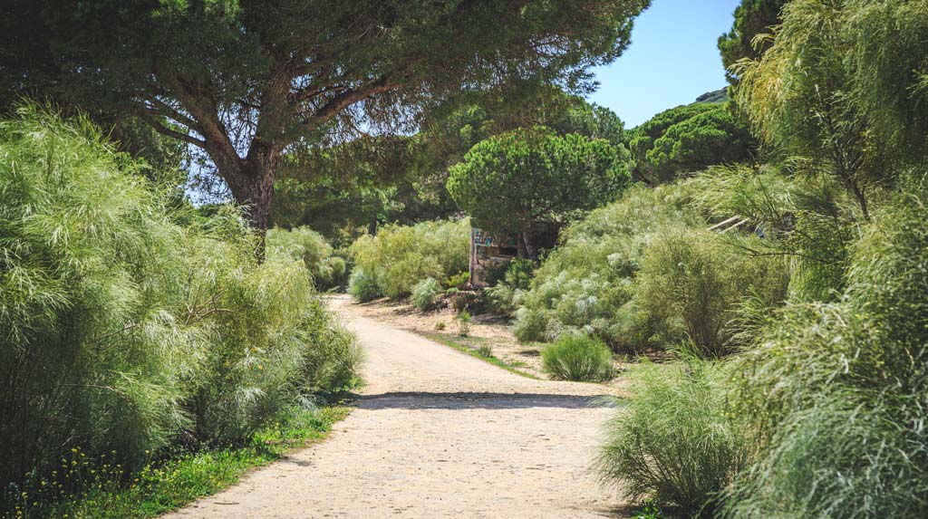 Ruta de los acantilados de Barbate