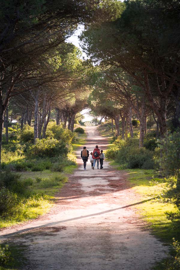Ruta de los acantilados de Barbate, sendero interior.