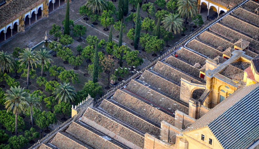 patio-naranjos-cordoba-mezquita