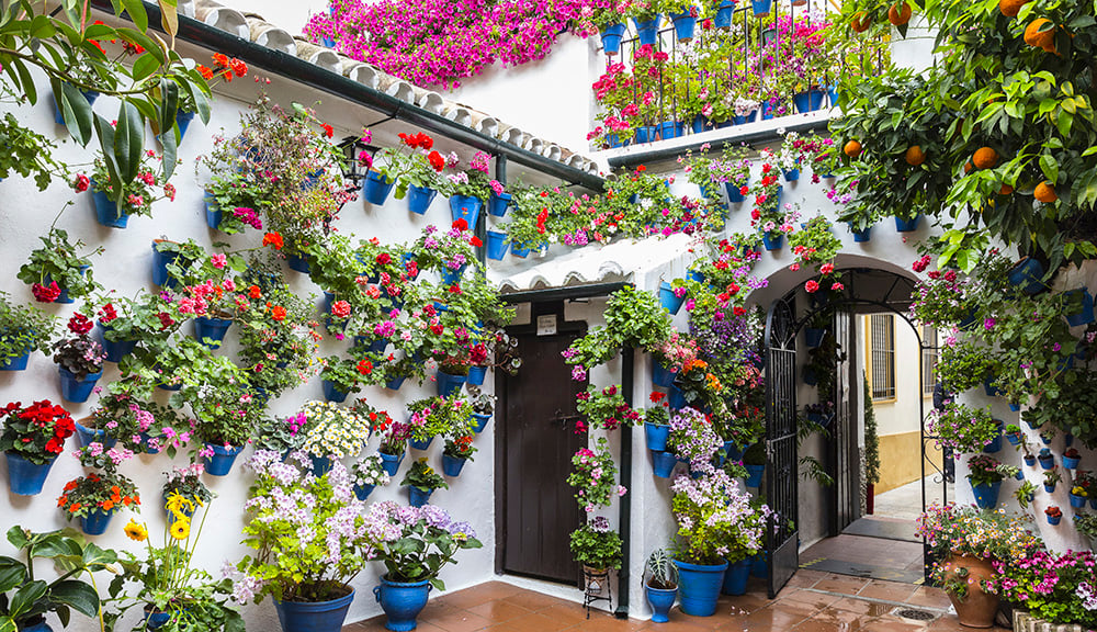 patio-cordoba-visitar-flores