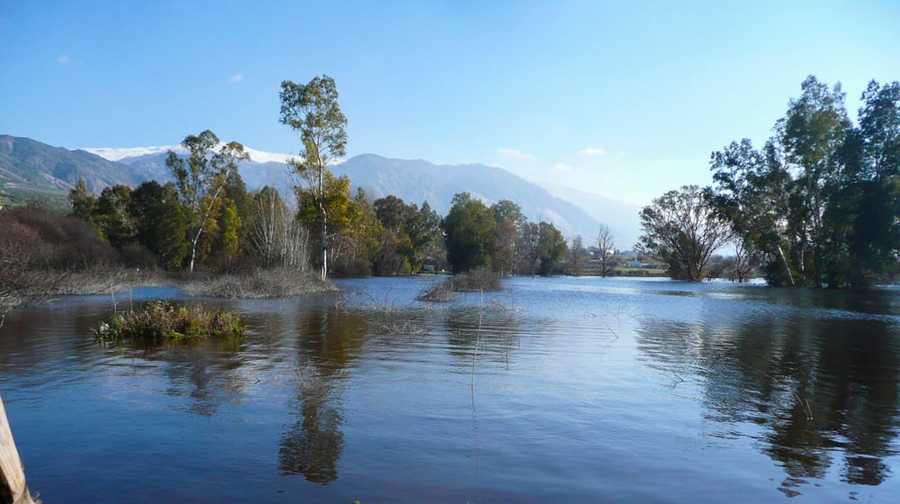 laguna-padul-granada