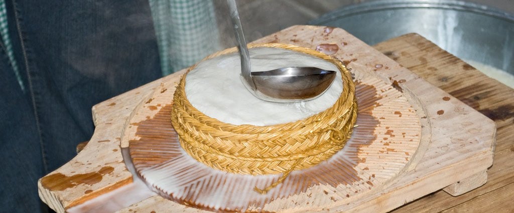 Cheese making