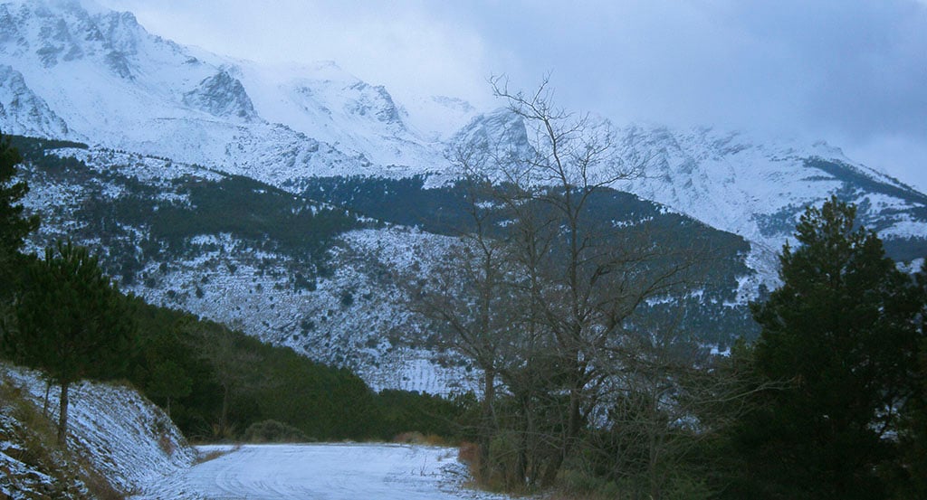 sierra-nevada-almeria-gastronomia