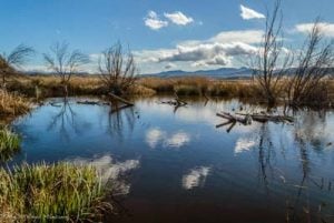 laguna de el Padul en Granada