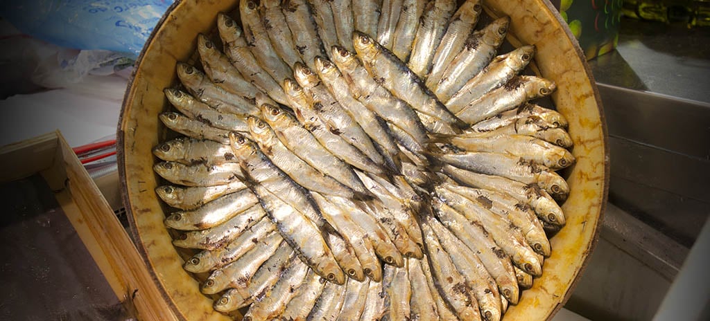 gastronomĂa