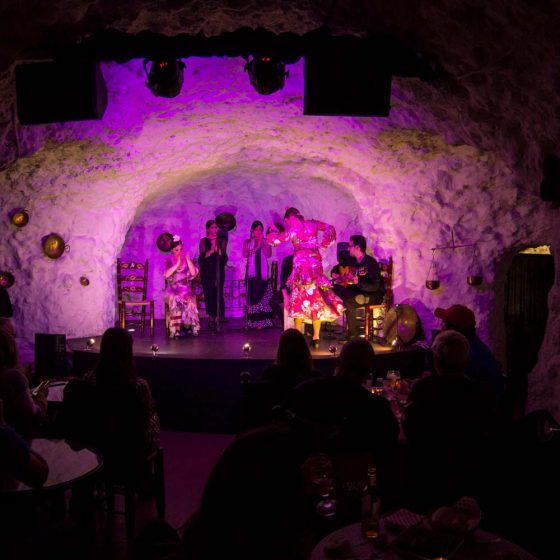 flamenco granada