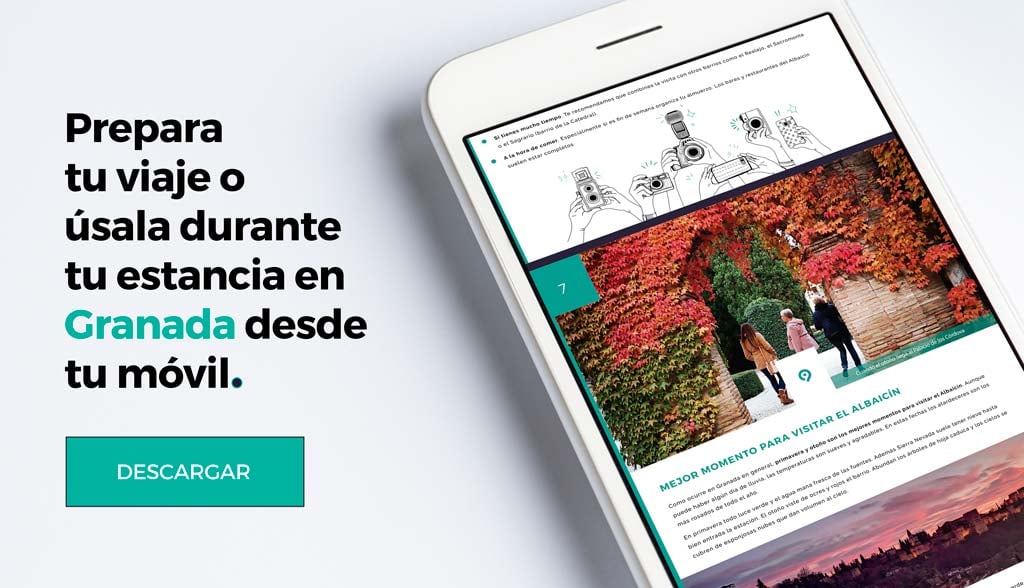 Descarga guía del albaicin en pdf