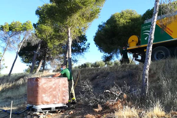 reforestacion en el Cerro del Sol Granada