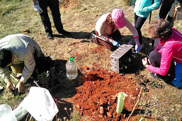 reforestacion en San Migue Alto Granada