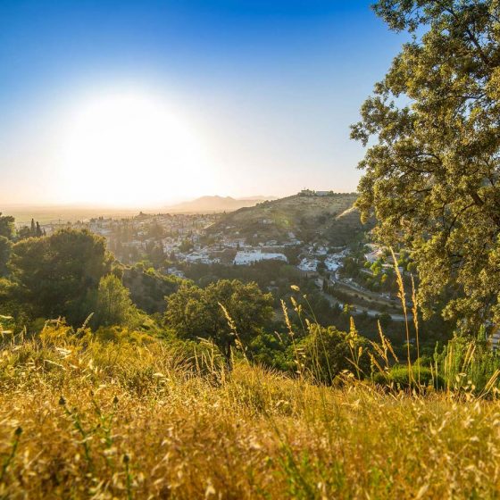 fantásticas vistas de Granada