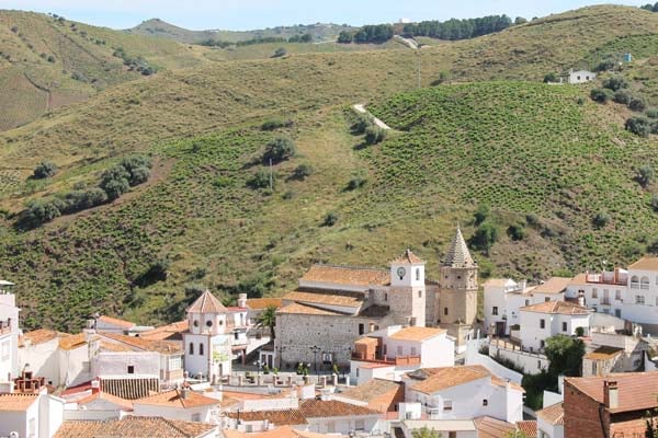 reforestacion de El Borge en malaga