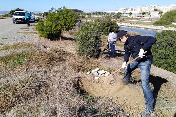 reforestacion desembocadura guadalhorce malaga