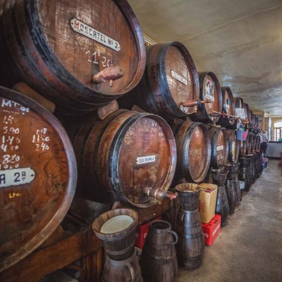 Visit to a wine cellar in Malaga