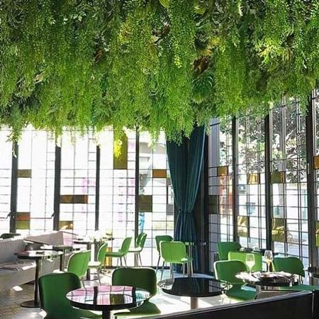 Wild food restaurante vegetariano