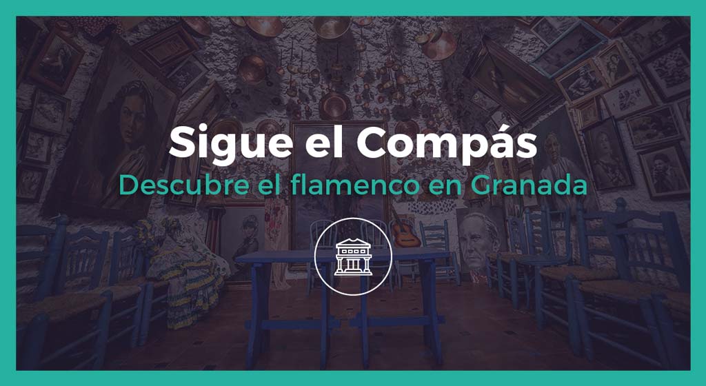 visita guiada flamenco granada