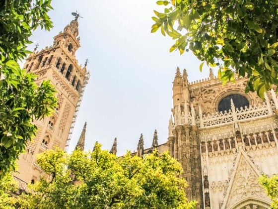 visitas guiadas sevilla catedral