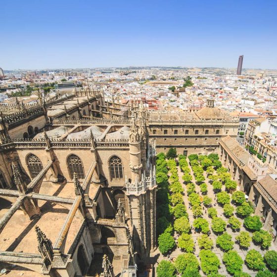 Visita guiada catedral y alcazar sevilla
