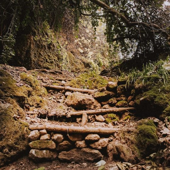 Camino de senderismo en Ronda