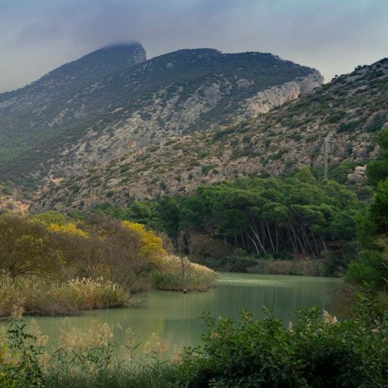 Excursión al Caminito del Rey