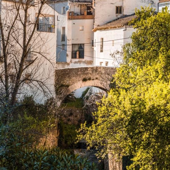 Calles de Setenil con río y vegetación