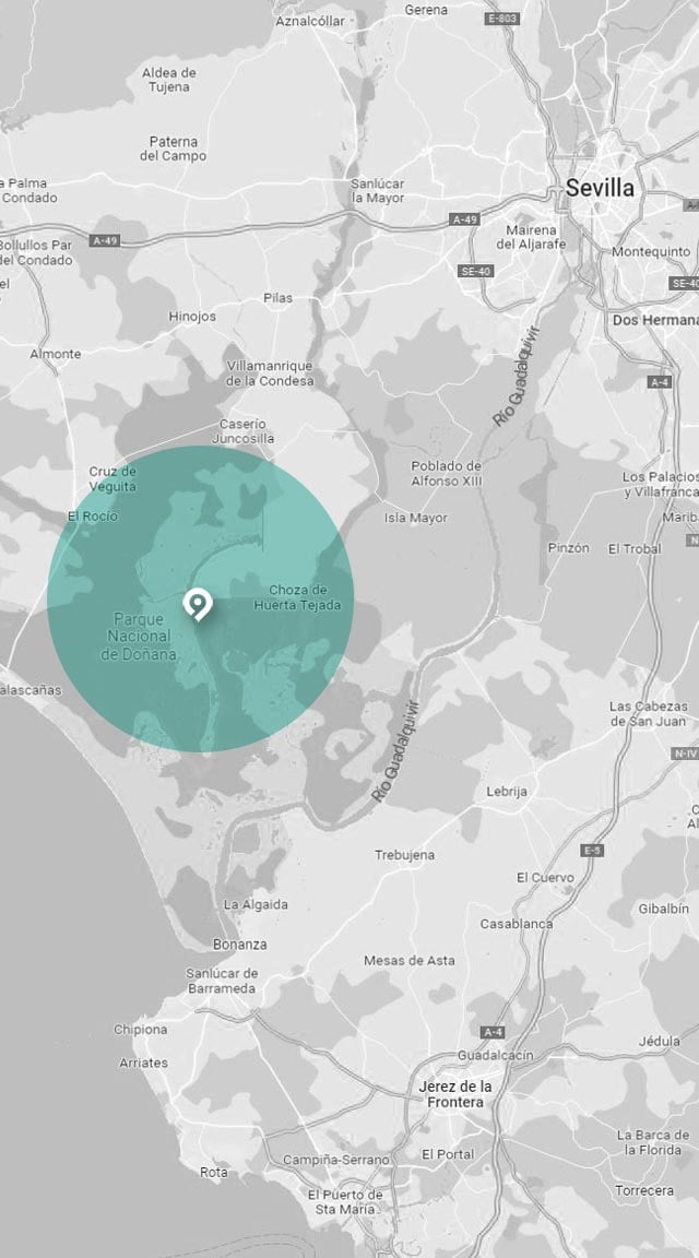 Mapa de excursión a Doñana
