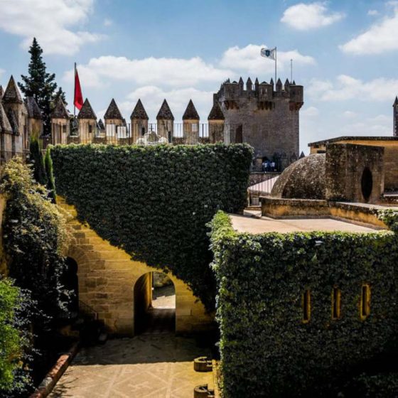 Excusión castillo Almodóvar