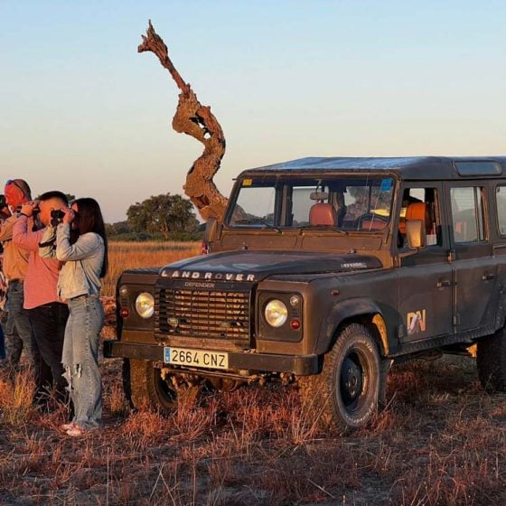 4x4 en Doñana excusión