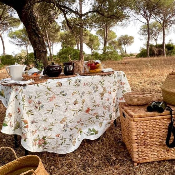 Picnic en Doñana