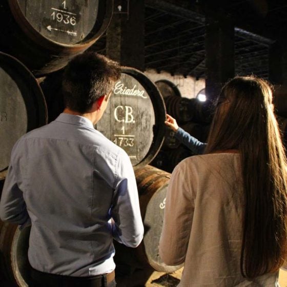 Bodega del vino Montilla Moriles