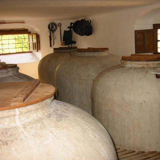 Ruta del vino Montilla Moriles