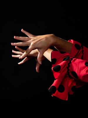 arte flamenco en Andalucía