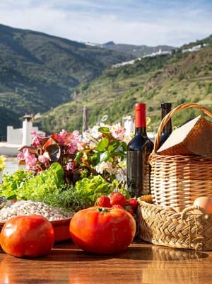 Gastronomía de Andalucía