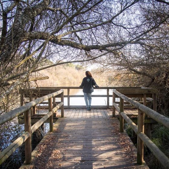 Excusión al parque Nacional de Doñana