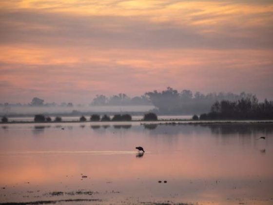 parque Nacional de Doñana Huelva