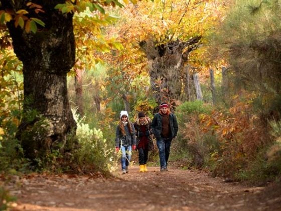 tour privado Huelva Aracena