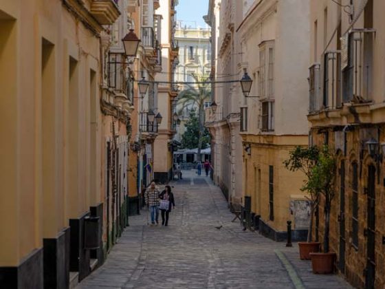 Tour privados Cádiz