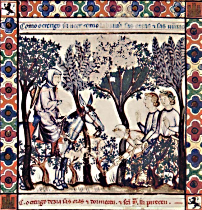 Viñedo en Cantigas de Santa María