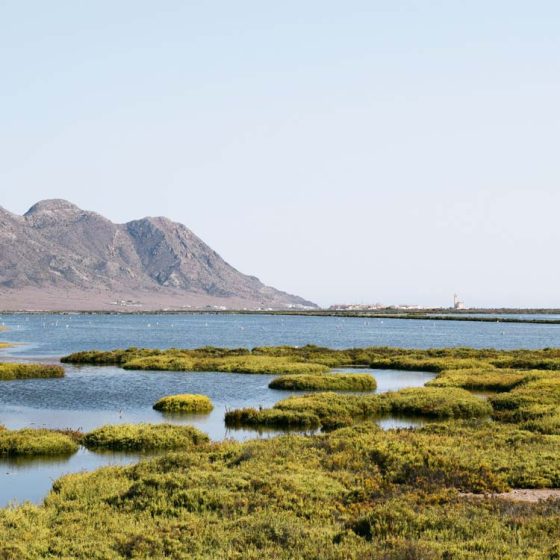 Excusión al Cabo de Gata y las Salinas