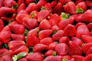 Gastronomia de Huelva