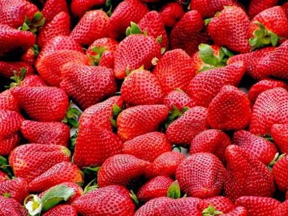 Gastronomia de Huelva