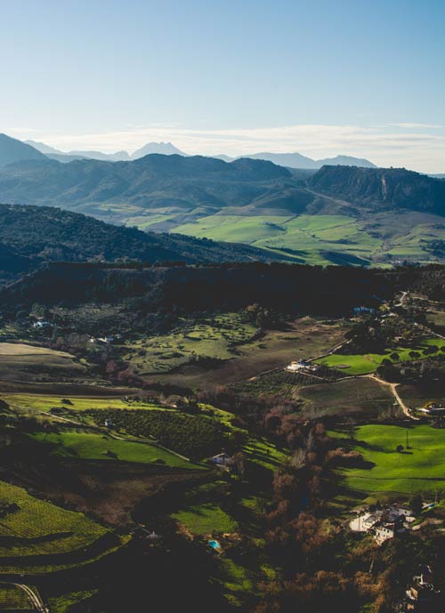 Ronda, crops in Malaga