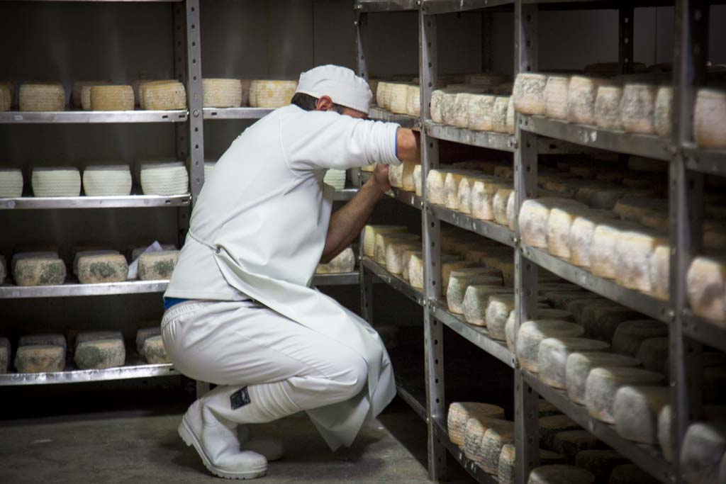 Cheeses from Andalusia