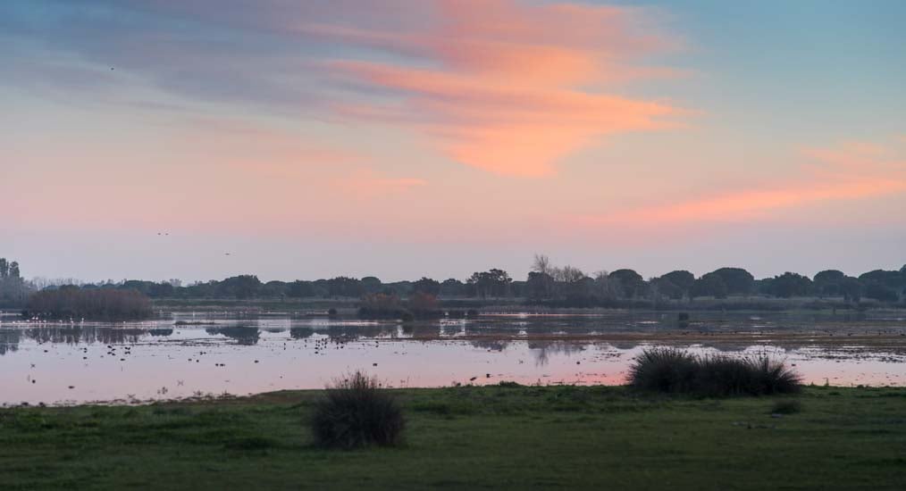 Doñana excusiones desde Sevilla